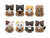 MEGA CAT PROJECT Attack on Titan Attack on Nyanko Survey Corps Group da Nyan!