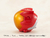 C-style Rebuild of Evangelion Petit Eva BANDAI - tienda online