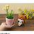 LookUp Rebuild of Evangelion Asuka Langley Shikinami Complete Figure MegaHouse