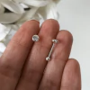 Tragus redondo