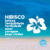 Imagem do Colar Aloha com Flor de Hibisco em Prata 950