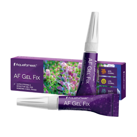 AF Gel fix x 2 u