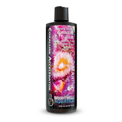 Coralline alge 250 ml