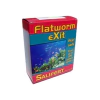 FLATWORM EXIT
