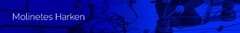 Banner de la categoría Molinetes