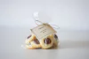 Pepas Gluten Free - Hache home Baked