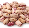 Poroto Cranberry