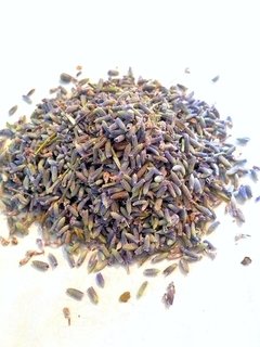 Lavanda - Hierbas del Oasis