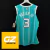 TERRY ROZIER III #3 CHARLOTTE HORNETS CITY 2021 - EDITION AUTHENTIC - comprar online