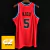 Imagen de Jason Kidd #5 NETS Mitchell & Ness 2006/07 - Bordada Premium