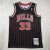 Scottie Pippen #33 Chicago Bulls - Semi Bordado