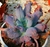 ECHEVERIA CULIBRA CUIA 13