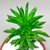 PEPEROMIA DOLABRIFORMIS POTE 9 - comprar online