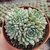 ECHEVERIA CHRISSY'N RYAN POTE 9 LINDAAA!!! - comprar online