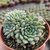 ECHEVERIA CHRISSY'N RYAN POTE 9 LINDAAA!!!