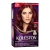 Coloração Wella Koleston - comprar online