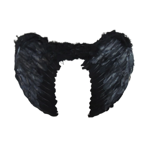 Asa De Anjo Grande Adulto