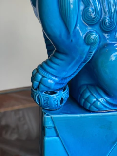 Cão de Fó azul macho na internet