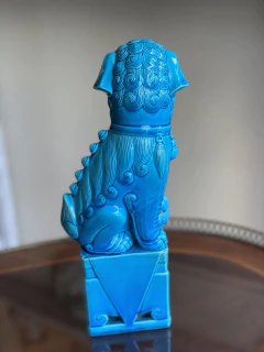 Cão de Fó azul macho - comprar online