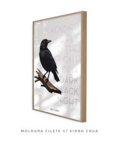 Quadro / Pôster - The Beatles - Blackbird na internet