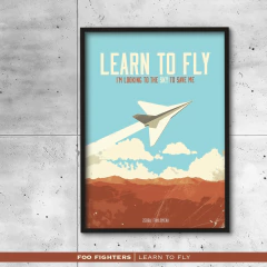 Quadro / Pôster - Foo Fighters - Learn To Fly