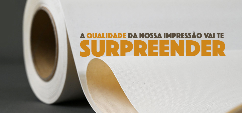 Banner Zebra Filomena | Quadros e Pôsteres de Música