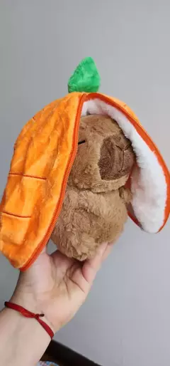 Capibara De Peluche Con Cierre zanahoria