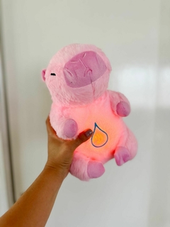 Imagen de Capybara de apego que respira