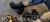 Carrusel Las Renatas Shoes