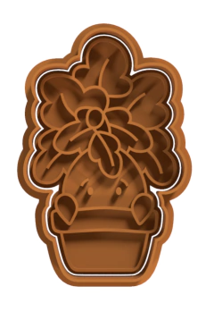Planta Mandrake