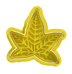 Hoja B