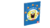 Cuaderno Abrochado Bob Esponja rayado