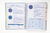 AGENDA UNIVERSITARIA 16X21 SV PERPETUA - Big-life