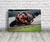 Cuadro Enea Bastianini · MotoGP · 60x40 cm - comprar online