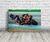 Cuadro Brad Binder · MotoGP · 60x40 cm - comprar online