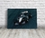 Cuadro David Coulthard · F1 · 60x40 cm
