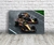 Cartel Lando Norris F1 · 45x30 cm - FanPosters