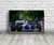 Cuadro Ayrton Senna · Williams · 60x40 cm - FanPosters