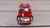 Maqueta Claseslot Juan Manuel Silva Ford TC N°2 2005 - tienda online