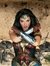 Banner Wonder Woman · 120x80 cms - comprar online