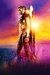 Banner Wonder Woman 1984 · 120x80 cms - comprar online