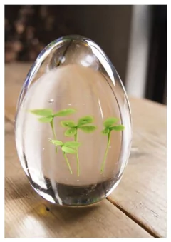 Resina Epoxi Cristal Vidrio Líquido Pro de Baja Viscosidad x 1,5 Kg - MUNDOPOX