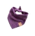 Bandana Ameixa
