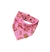Bandana Bosque