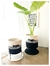 Imagen de CESTO INDUSTRIAL TRICOLOR 30X30