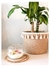 POSA VELA / VASO CON FLECOS - Renovar Deco