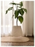 CESTO GOTA ANCHA - tienda online
