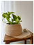 CESTO GOTA CHICA - comprar online