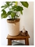 CESTO ALTO NEVADO 22X32 ALTO - tienda online