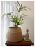 CESTO GOTA ANCHA - comprar online